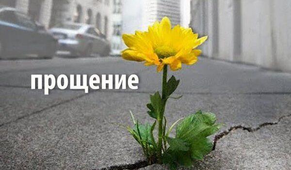 Как научиться прощать Как научиться прощать