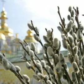 Обряды и ритуалы на Вербное Воскресенье